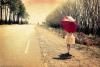 hafsaraissouli's picture