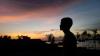 Najir's picture