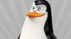 kowalski's picture