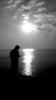zayed1816's picture