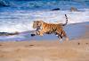 MsNahid's picture
