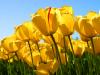 naeem1914's picture