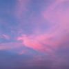 mahmudul_024's picture